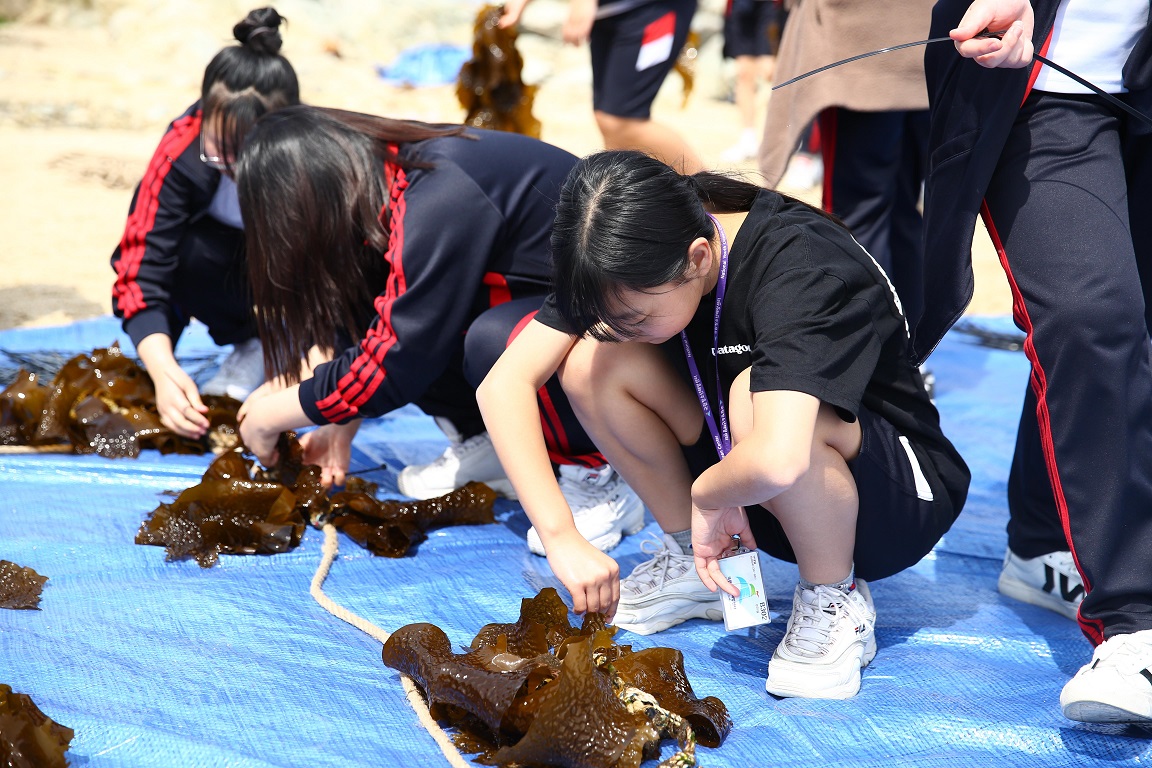 지난 바다식목일 행사에 참여했던 청소년들이 국립청소년해양센터 체험관 앞에서 해조류를 이식하고 있다. <사진=국립청소년해양센터 제공>