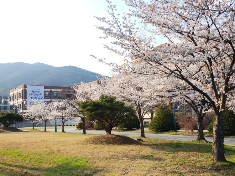 �����߾�û�ҳ���ÿ��� �� ����