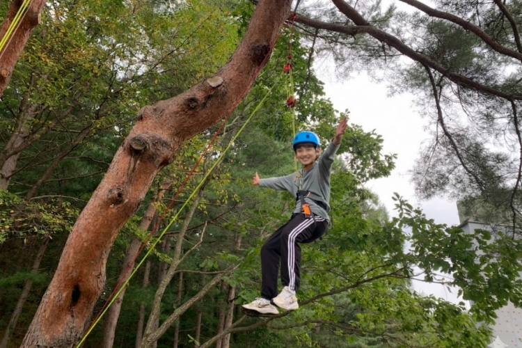 2026�� �����н��� ��� ķ�� � ����